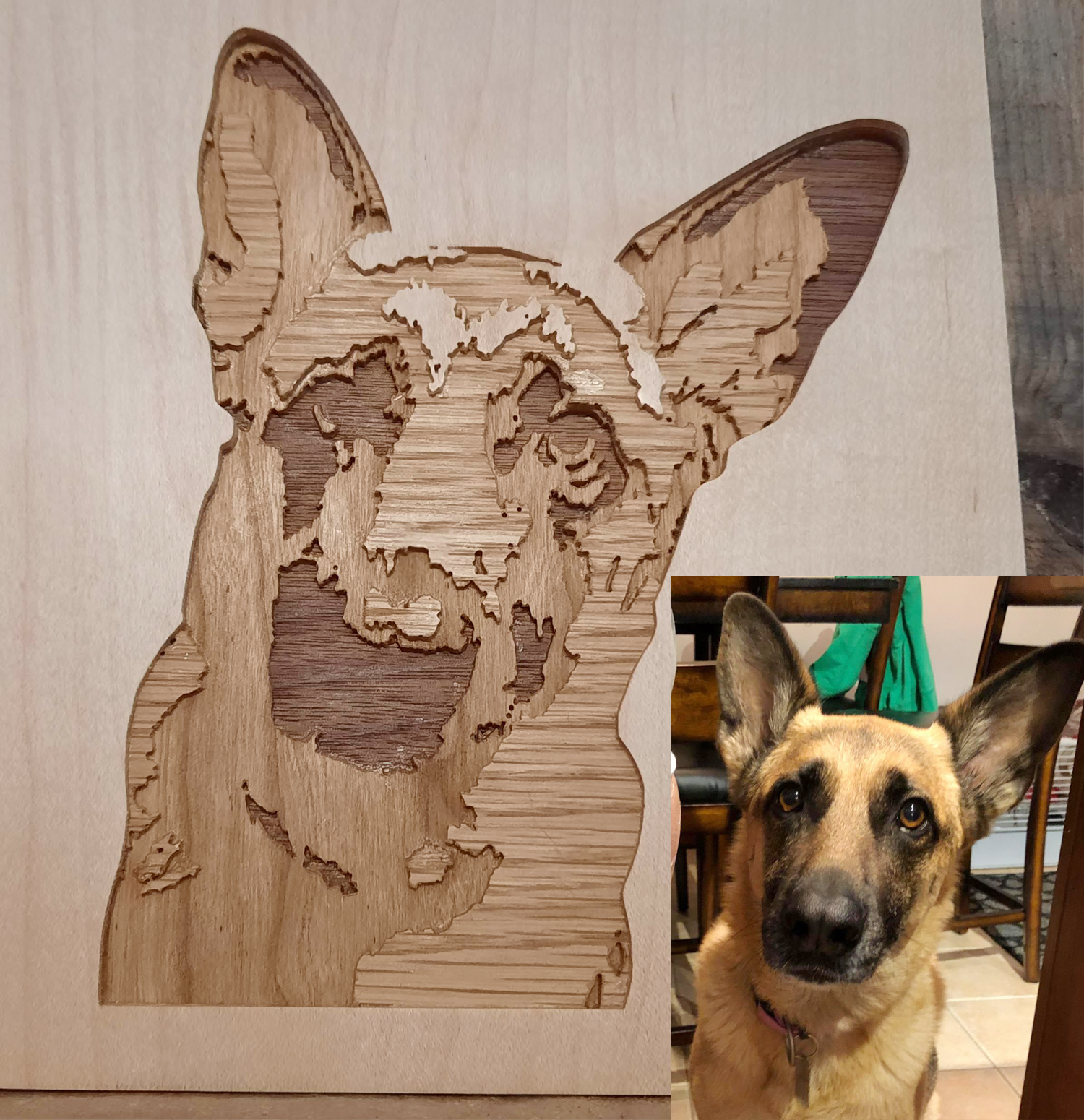 Gravure en bois à l'effigie de votre animal