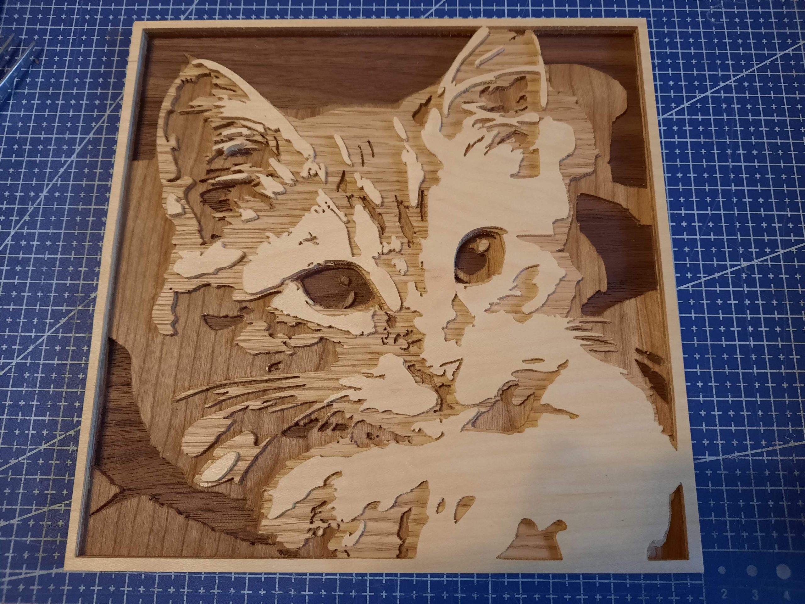 Gravure en bois d'un chat